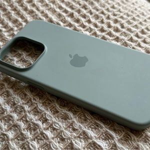 iPhone 14 Pro Max Apple Silicone Case - Succulent